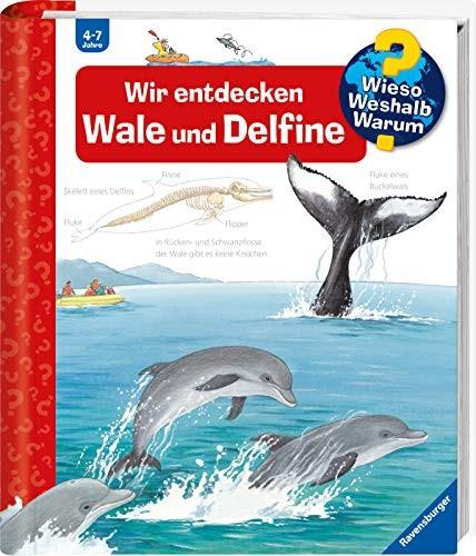 Cover of Wir entdecken Wale und Delfine