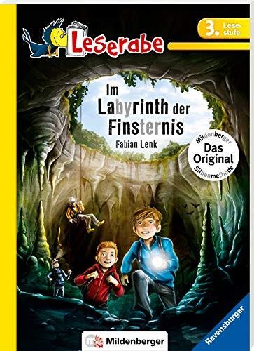 Cover of Im Labyrinth der Finsternis